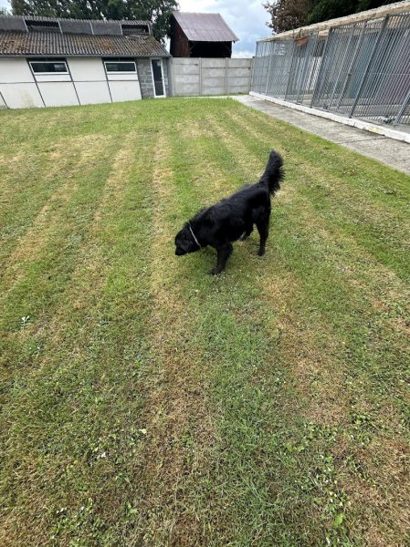 Pension du Mont Liévain - photo 3