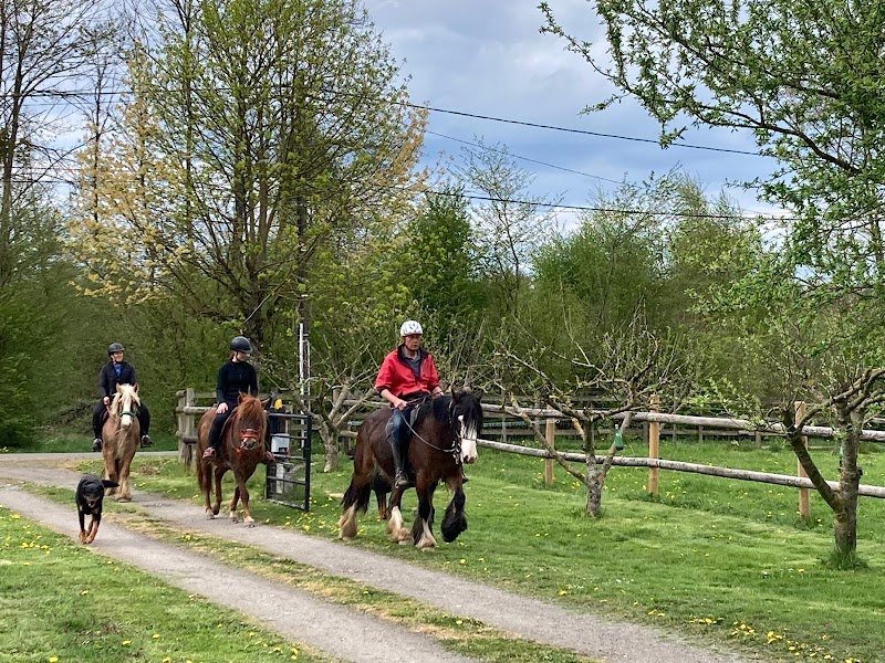 Écurie de La Forêt de Lyons - photo 1
