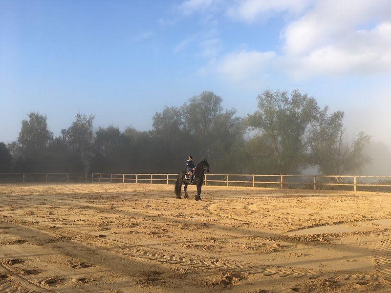 Les écuries de la Perle Noire