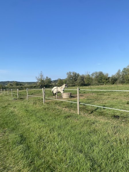 Les écuries de la Perle Noire - photo 2