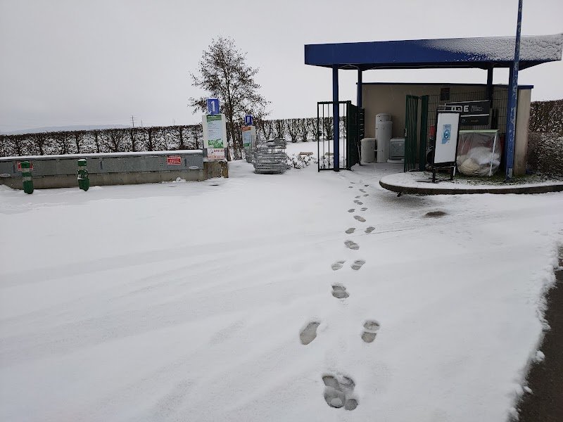 Haras D Orrouy - photo 1