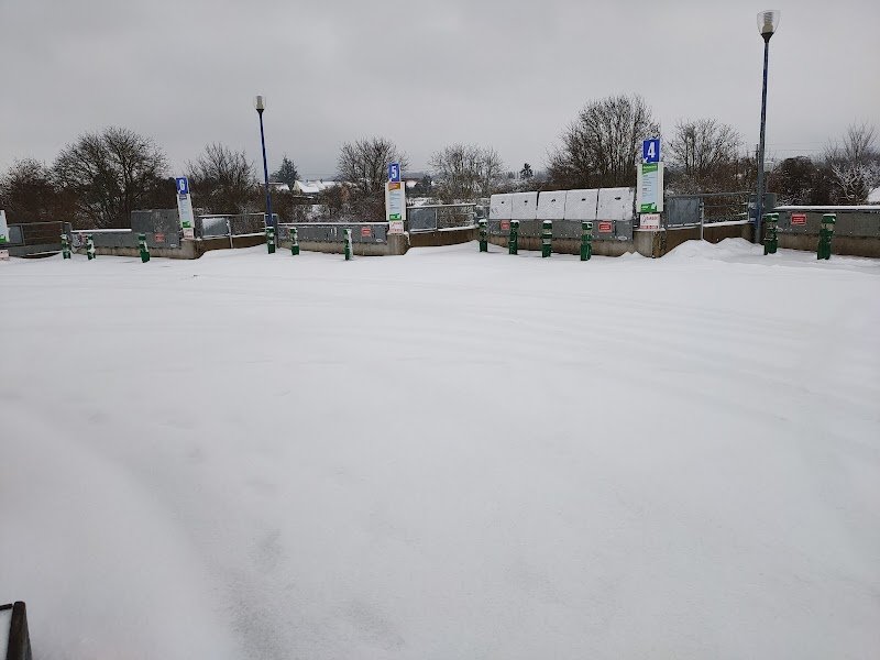 Haras D Orrouy - photo 2