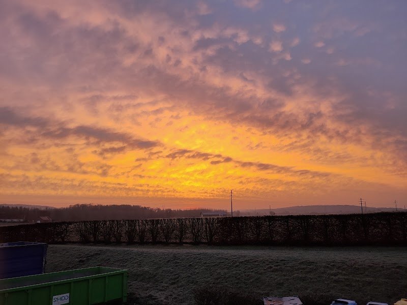 Haras D Orrouy - photo 3