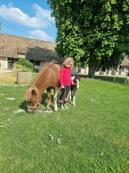 Haras De Neaufles - photo 3