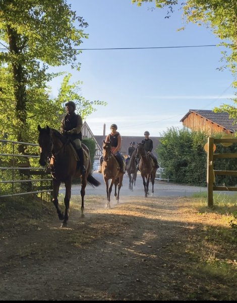 Haras de la Faisanderie - photo 3