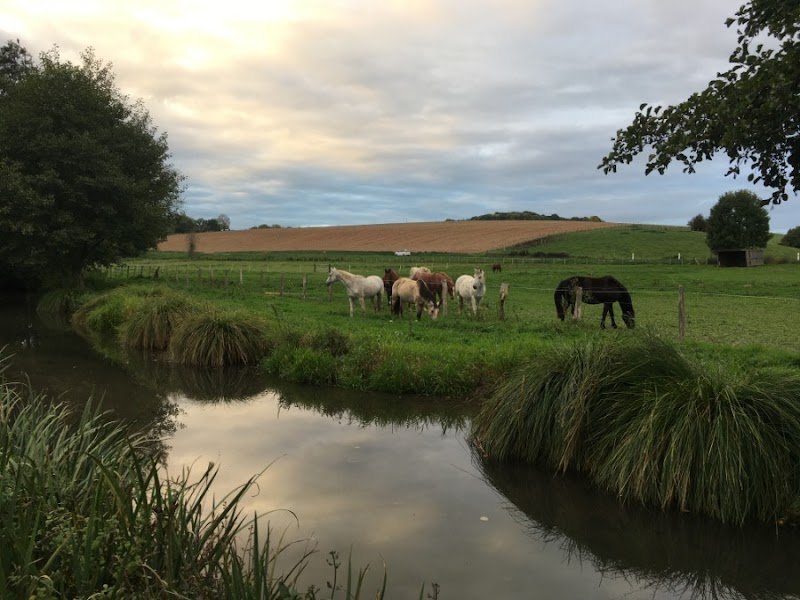 Haras du Moulin - photo 1