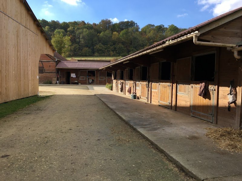 Haras du Moulin - photo 2