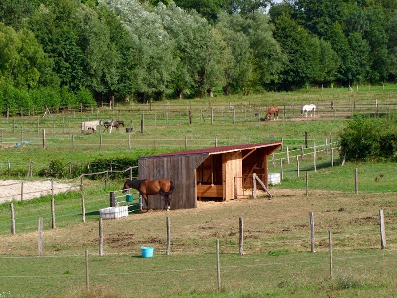 Haras du Moulin - photo 3