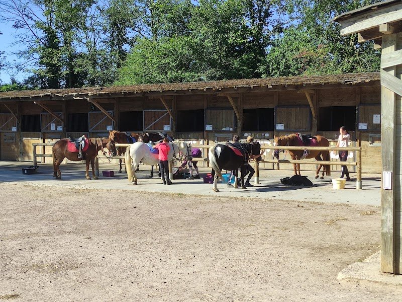 Les Ecuries de l'Odon - photo 2