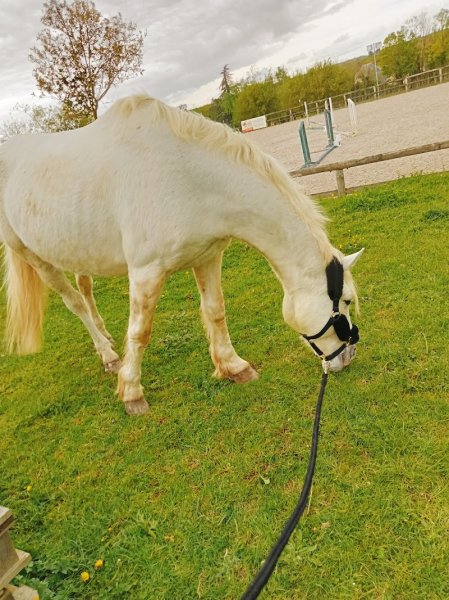 Les Ecuries de l'Odon - photo 3