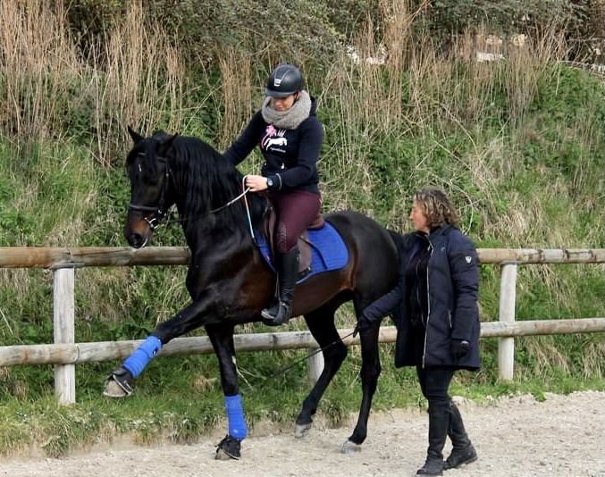DOMAINE ÉQUESTRE DE L'ORMERIE - photo 2