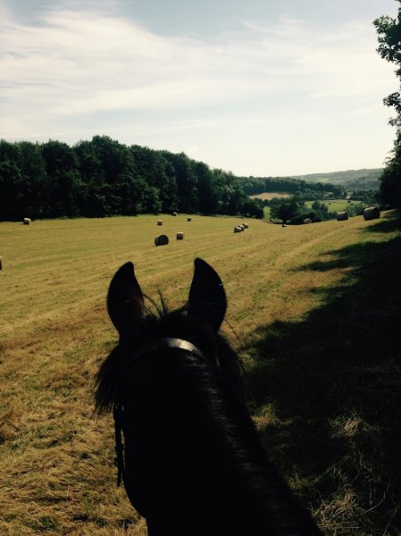 Écuries du Mont d'Auget