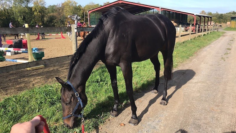 Écuries du Mont d'Auget - photo 2