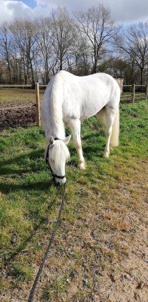 Écuries du Mont d'Auget - photo 3