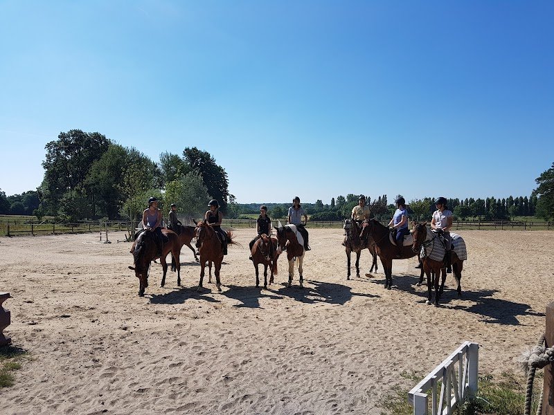 Haras de la rapée - photo 3