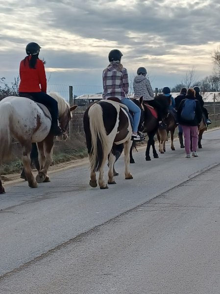 Poney Club Ma Bohème - photo 1
