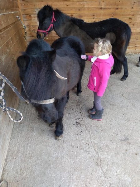 Poney Club Ma Bohème - photo 2