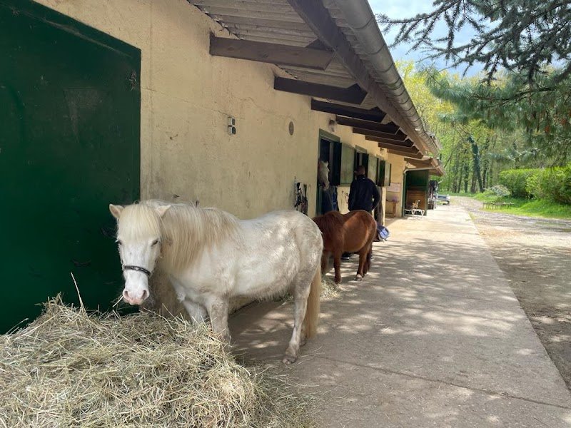 Centre Equestre de la Juine - photo 1