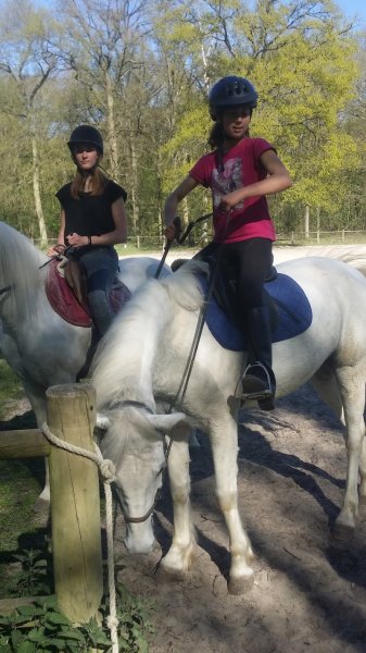 Centre Equestre de la Juine - photo 2