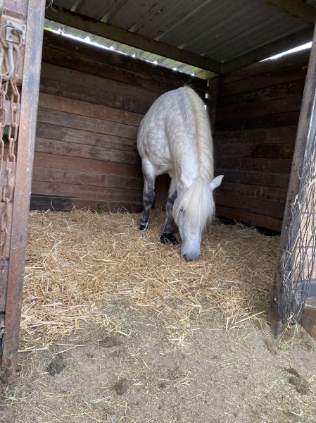 Écuries Florida de l’Andelle - photo 3