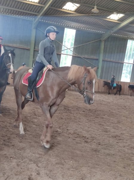 ECURIE DU DOMAINE - photo 1