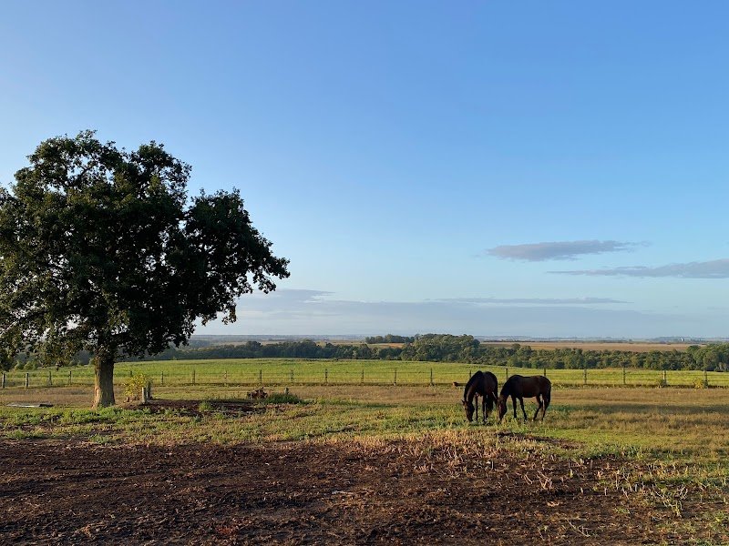 Ecuries des deux tours - photo 3