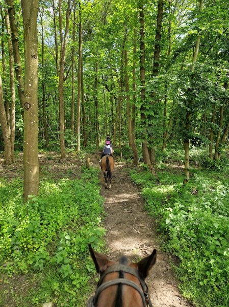 La Horse Club - photo 2