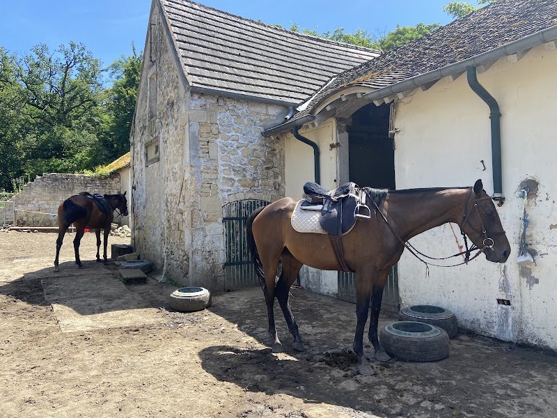 La Horse Club - photo 3