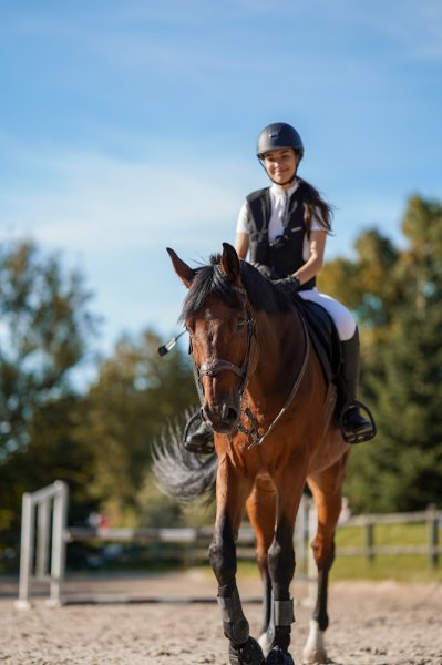 Haras des Sources - Centre équestre, poney club & Ecurie de propriétaires - 77 - photo 2
