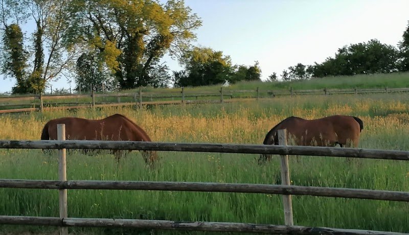 Haras des Greux - photo 3