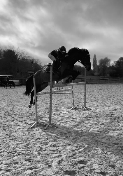 Ecurie de Goupillon - photo 3