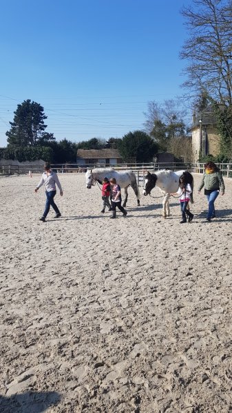 ECURIES DU PONEY D OR - photo 3