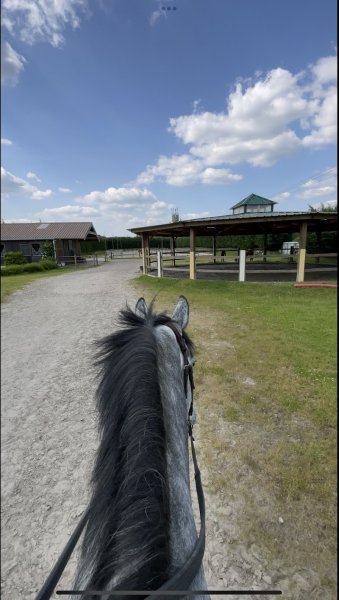 Écurie Exclusive Stable - photo 2