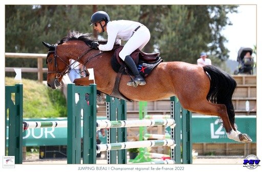 Écurie Exclusive Stable - photo 3