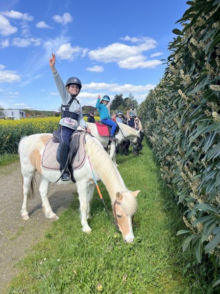 Cercle Hippique du Pin