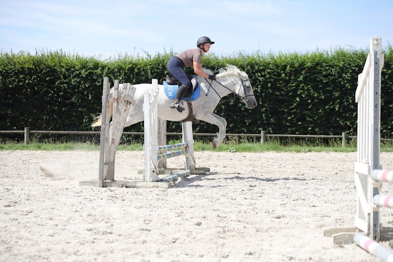 Centre equestre de Fay-les-Etangs