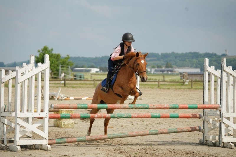 Centre equestre de Fay-les-Etangs - photo 2