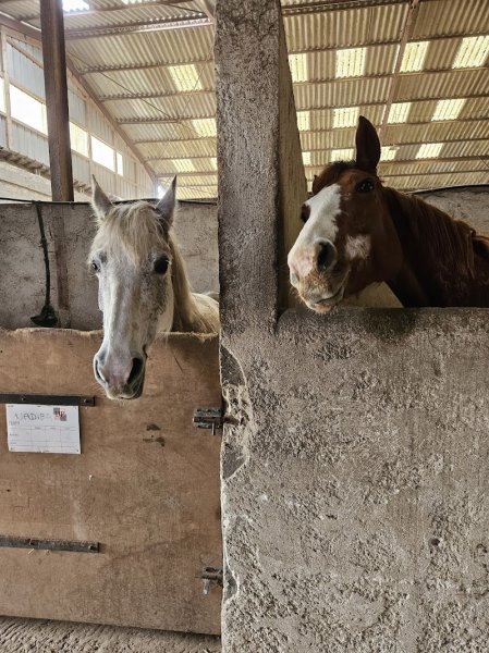 Centre equestre de Fay-les-Etangs - photo 3