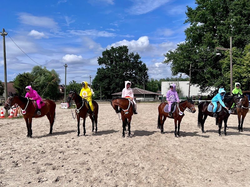 Cercle Hippique De La Brêche Aux Loups - photo 2