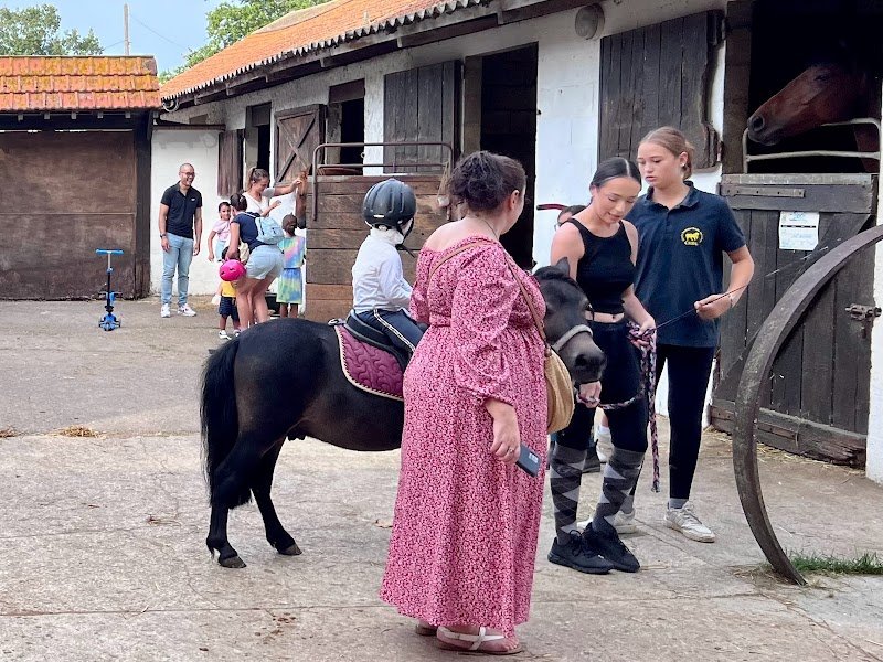 Cercle Hippique De La Brêche Aux Loups - photo 3