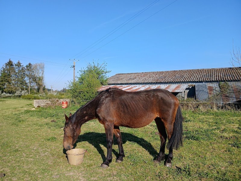 Ass. L'écurie du bonheur - Ferme de Ger-Val