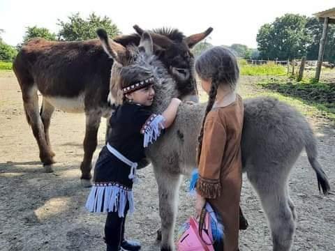 Ass. L'écurie du bonheur - Ferme de Ger-Val - photo 2