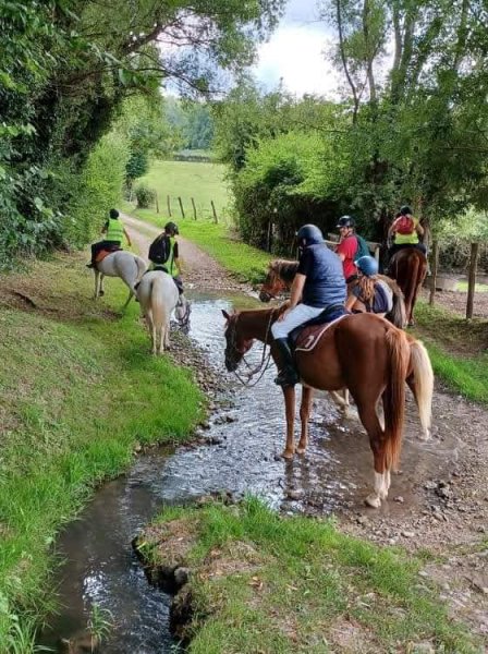 Ass. L'écurie du bonheur - Ferme de Ger-Val - photo 3
