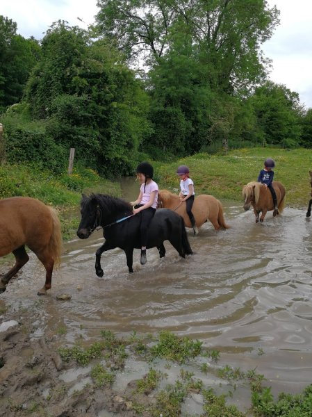 PONEY CLUB PONY REVE - photo 2