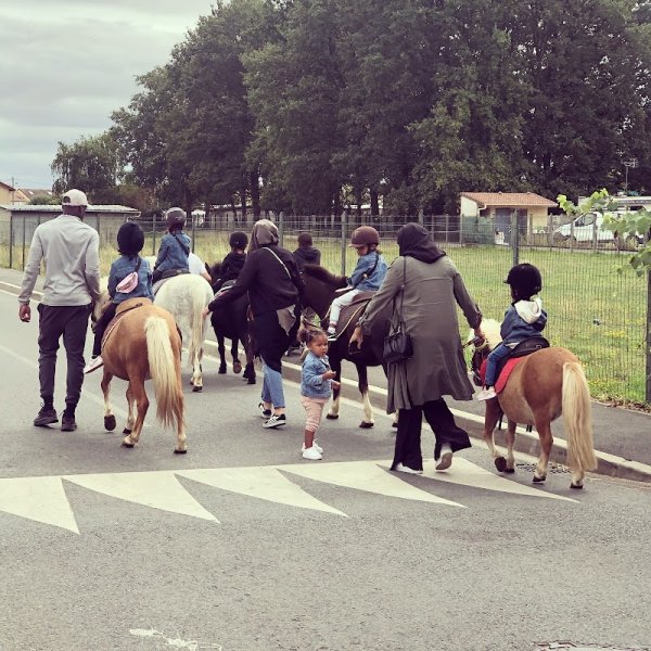 Centre Équestre de Brétigny-sur-Orge Ame Horse - photo 2
