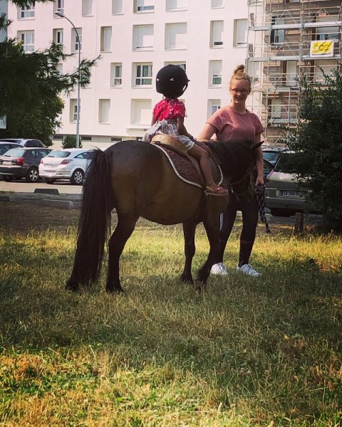 Centre Équestre de Brétigny-sur-Orge Ame Horse - photo 3