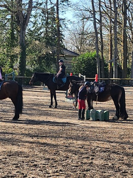 Club Hippique des Joncs Marins - photo 2