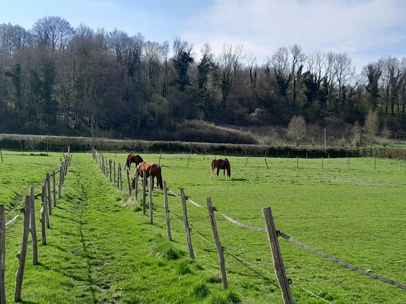 Pension équine les Auris - photo 1