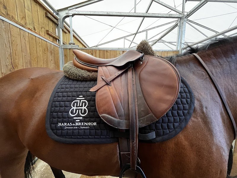 HARAS DE BRENHOR - photo 1