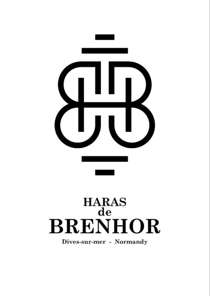 HARAS DE BRENHOR - photo 2